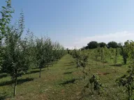 Sale, house, 178m², Beška, Inđija - image 15