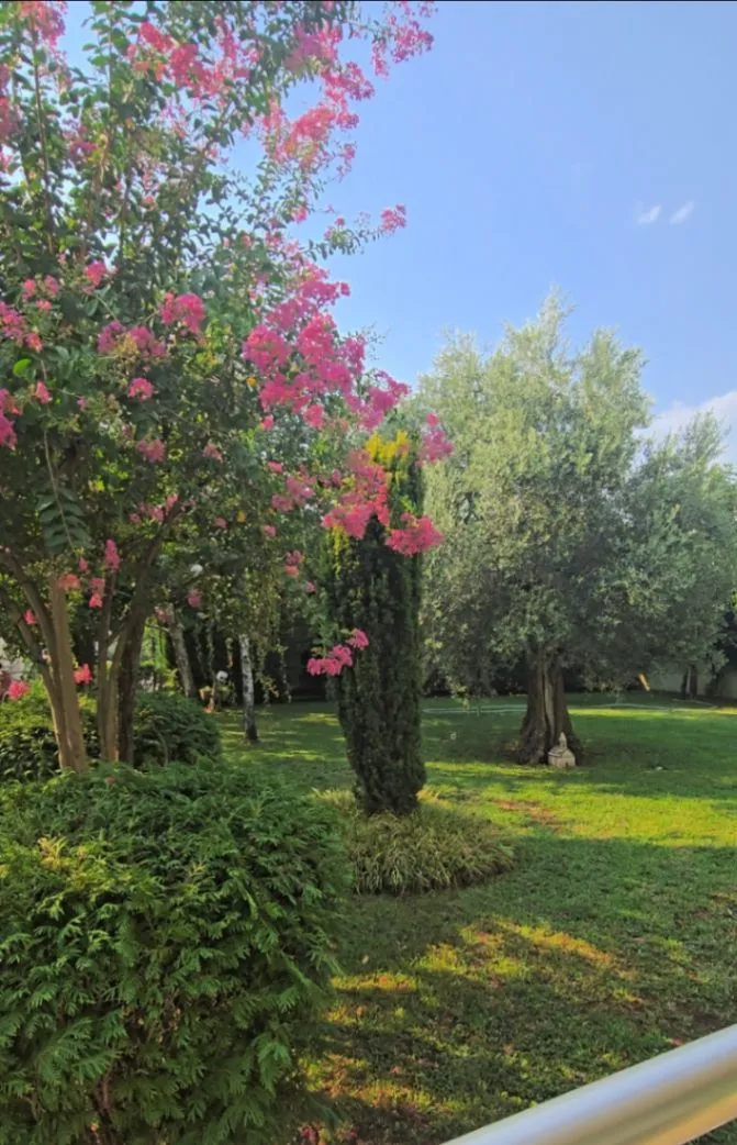 Prodaja, kuća, 175m², Velje Brdo, Podgorica