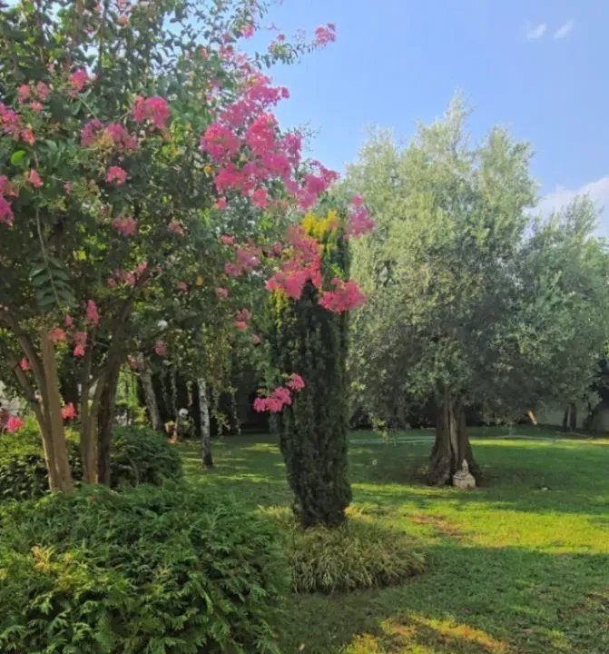 Sale, house, 175m², Velje Brdo, Podgorica