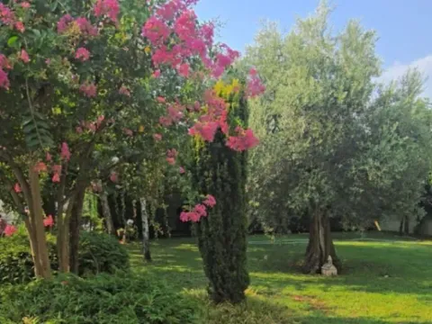 Sale, house, 175m², Velje Brdo, Podgorica