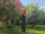 Sale, house, 175m², Velje Brdo, Podgorica - image 1