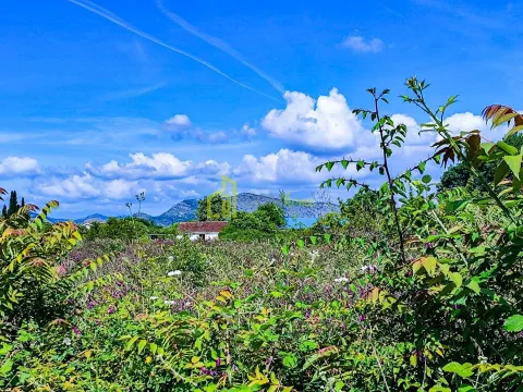 Sale, land lot, 2500m², Zeta, Podgorica