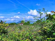 Prodaja, plac, 2500m², Zeta, Podgorica - image 1