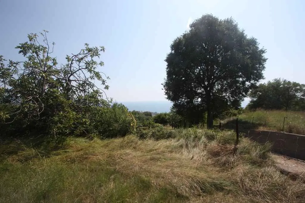 Zeleni plac sa drvećem i pogledom na more u daljini.