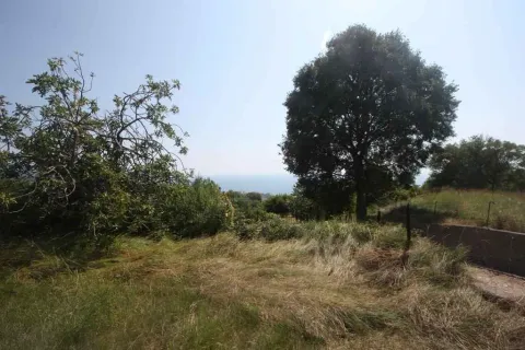 Zeleni plac sa drvećem i pogledom na more u daljini. - image 8