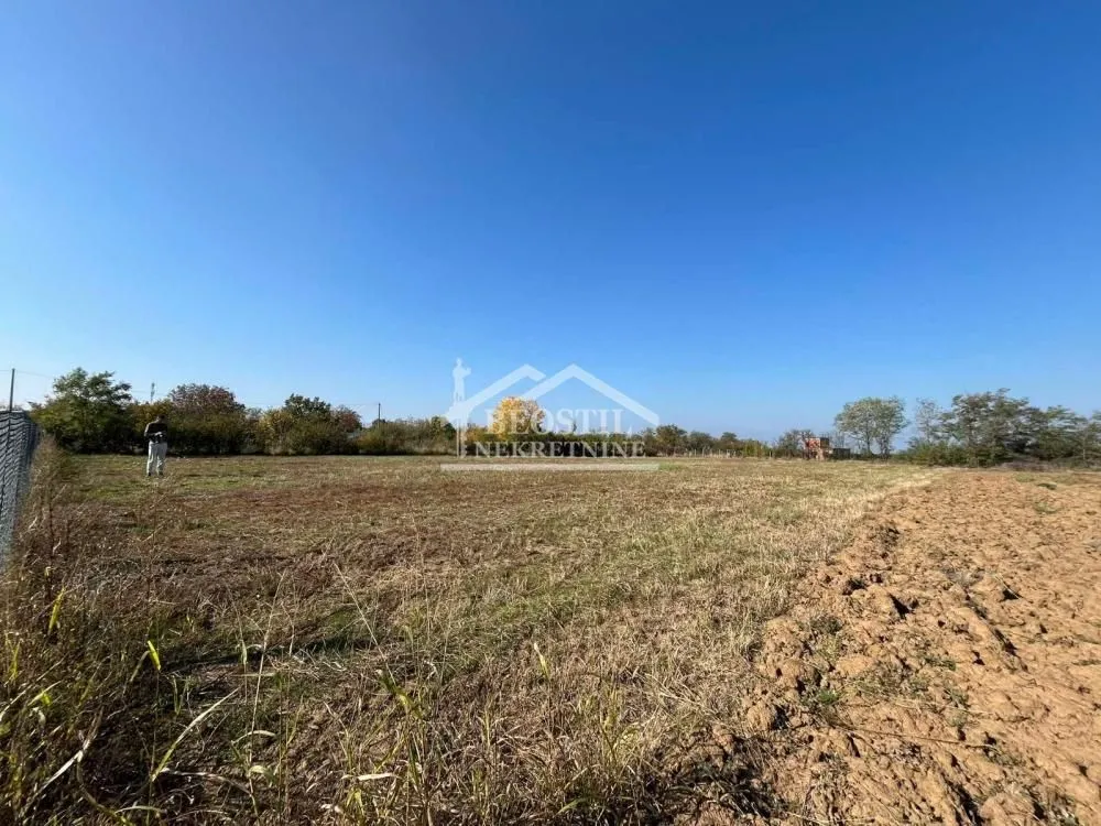 Sale, land lot, 2000m², Zlatno Brdo, Smederevo
