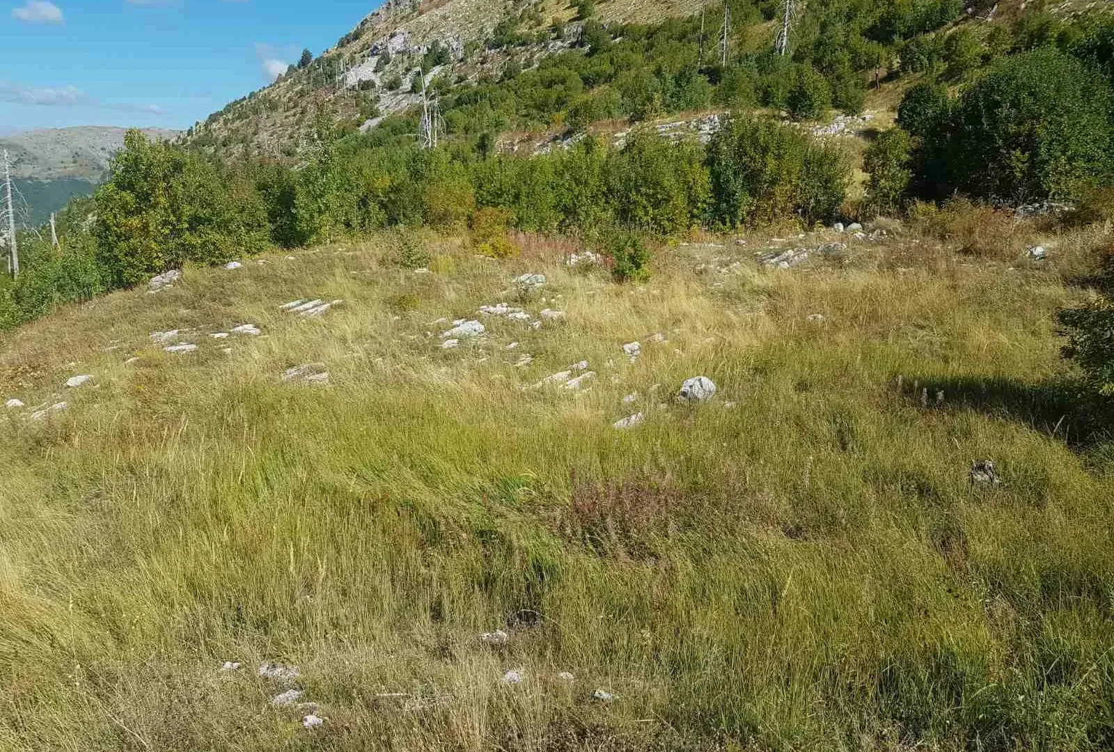 Prodaja, plac, 725000m², Podgorica, Crna Gora