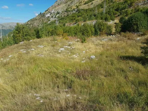 Prodaja, plac, 725000m², Podgorica, Crna Gora - image 6