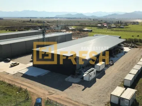 Izdavanje, poslovni prostor, 1500m², Tuzi, Podgorica - image 6