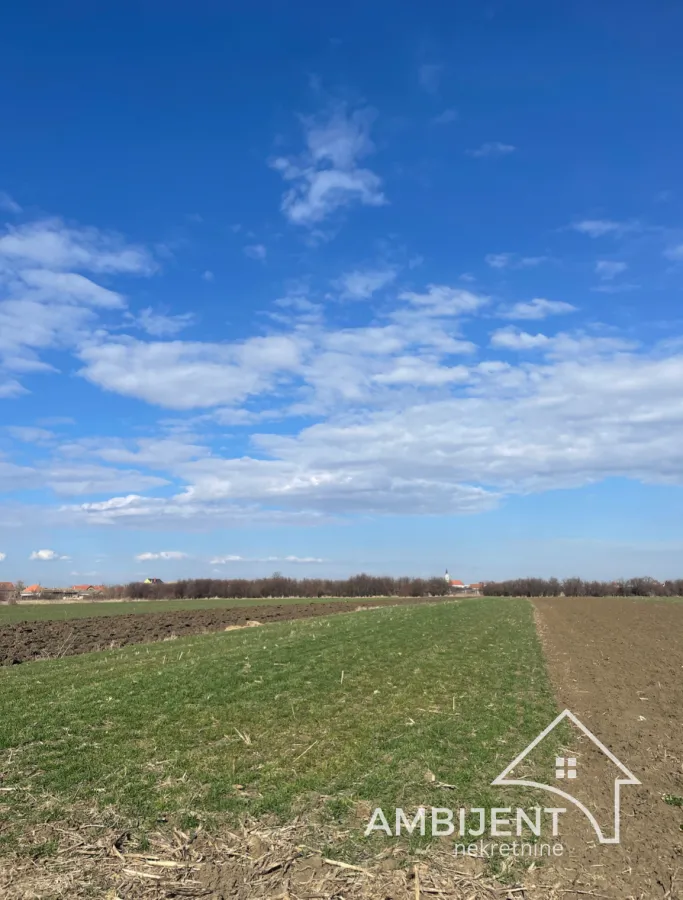 Sale, land lot, 6300m², Krnješevci, Stara Pazova