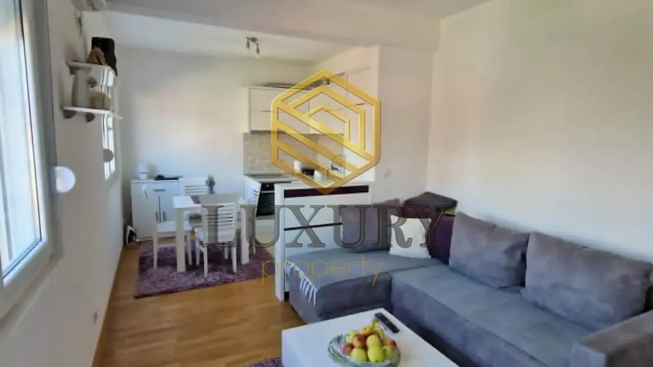 Rent, one bedroom apartment, 45m², Stari Aerodrom, Podgorica