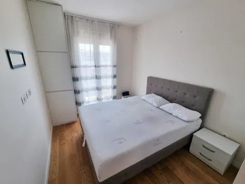 Izdavanje, jednosoban stan, 50m², Central Point, Podgorica - image 3