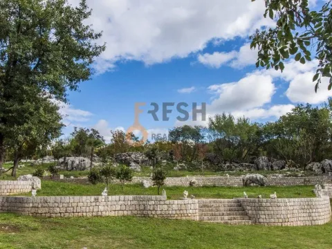 Prodaja, plac, 36246m², Danilovgrad, Crna Gora - image 10