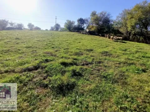 Prodaja, plac, 1200m², Draževac, Obrenovac - image 4