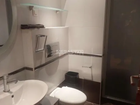 Izdavanje, četvorosoban stan, 156m², Vračar Centar, Vračar Sve Podlokacije - image 19