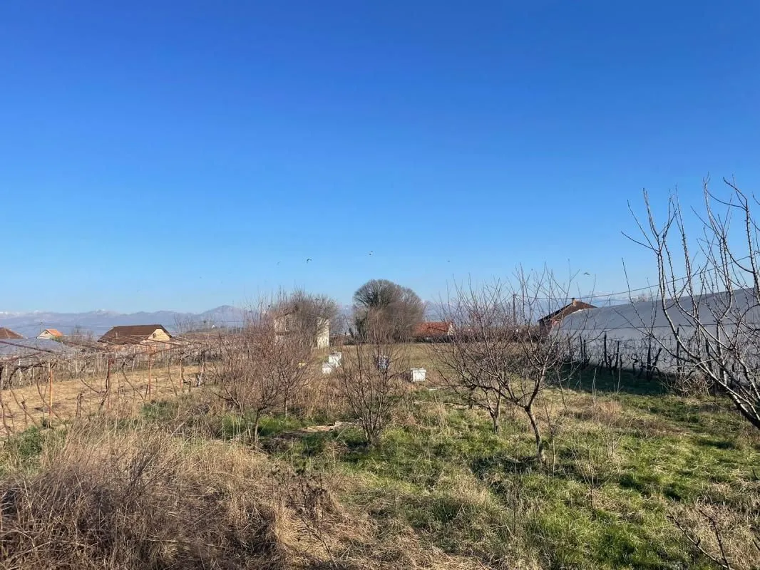 Prodaja, plac, 2503m², Đuravci, Bar