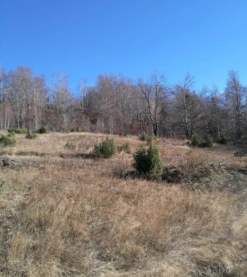 Prodaja, plac, 138000m², Kolašin, Crna Gora