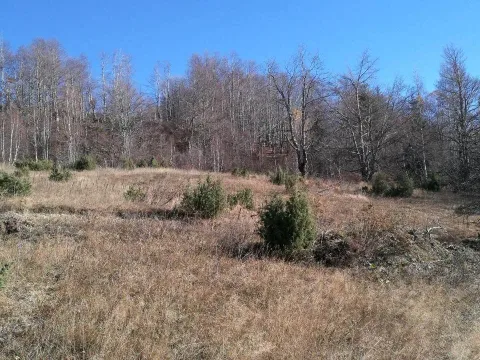 Prodaja, plac, 138000m², Kolašin, Crna Gora - image 4