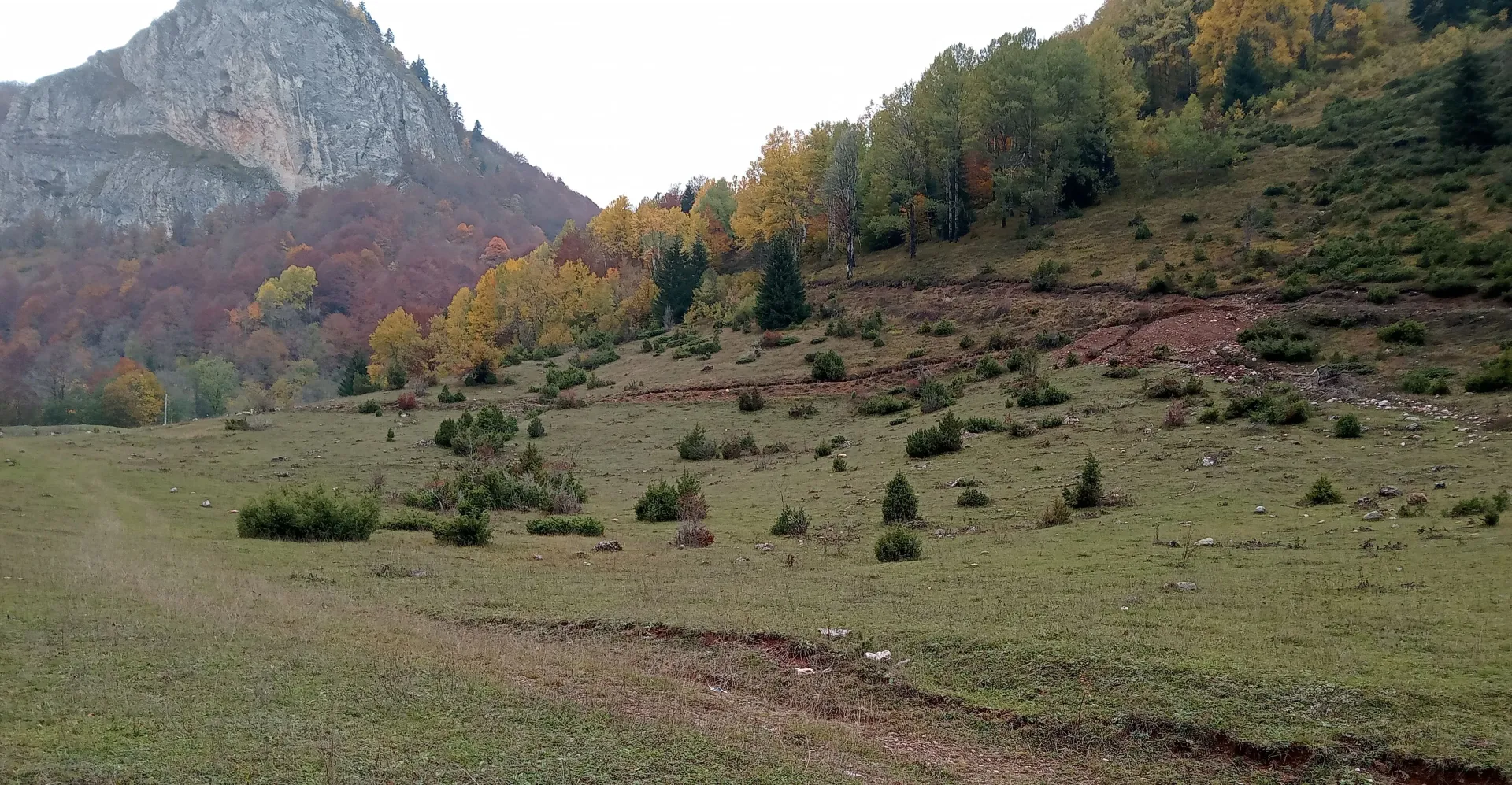 Sale, land lot, 17012m², Lubnice, Berane