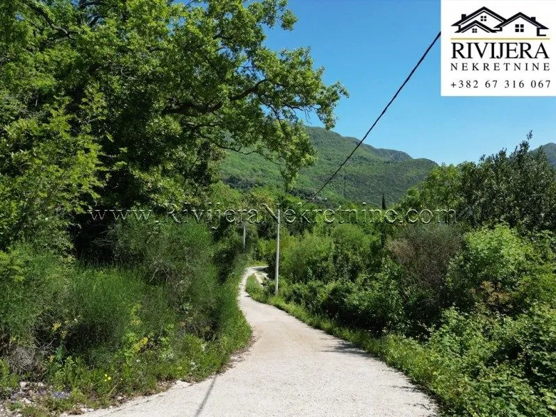 Prodaja, plac, 13123m², Sasovići, Herceg Novi