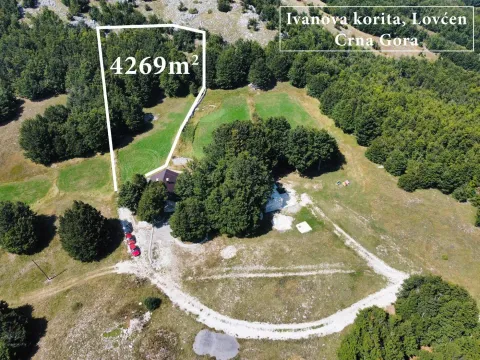 Prodaja, plac, 4269m², Ivanova Korita, Cetinje - image 9