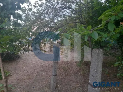 Prodaja, kuća, 100m², Altina, Beograd - image 5