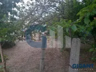 Prodaja, kuća, 100m², Altina, Beograd - image 5