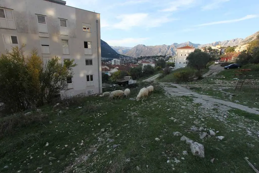Pogled na spoljašnjost zgrade i travnati plac sa planinama u pozadini.