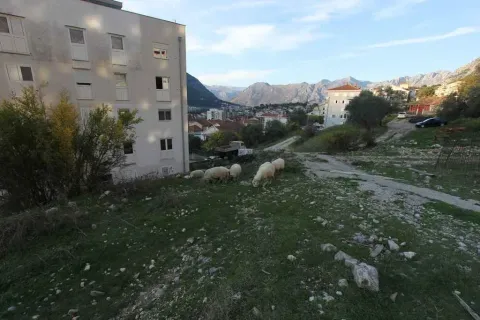 Pogled na spoljašnjost zgrade i travnati plac sa planinama u pozadini. - image 10