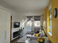 Izdavanje, dvosoban stan, 46m², Betanija, Novi Sad Sve Podlokacije - image 4