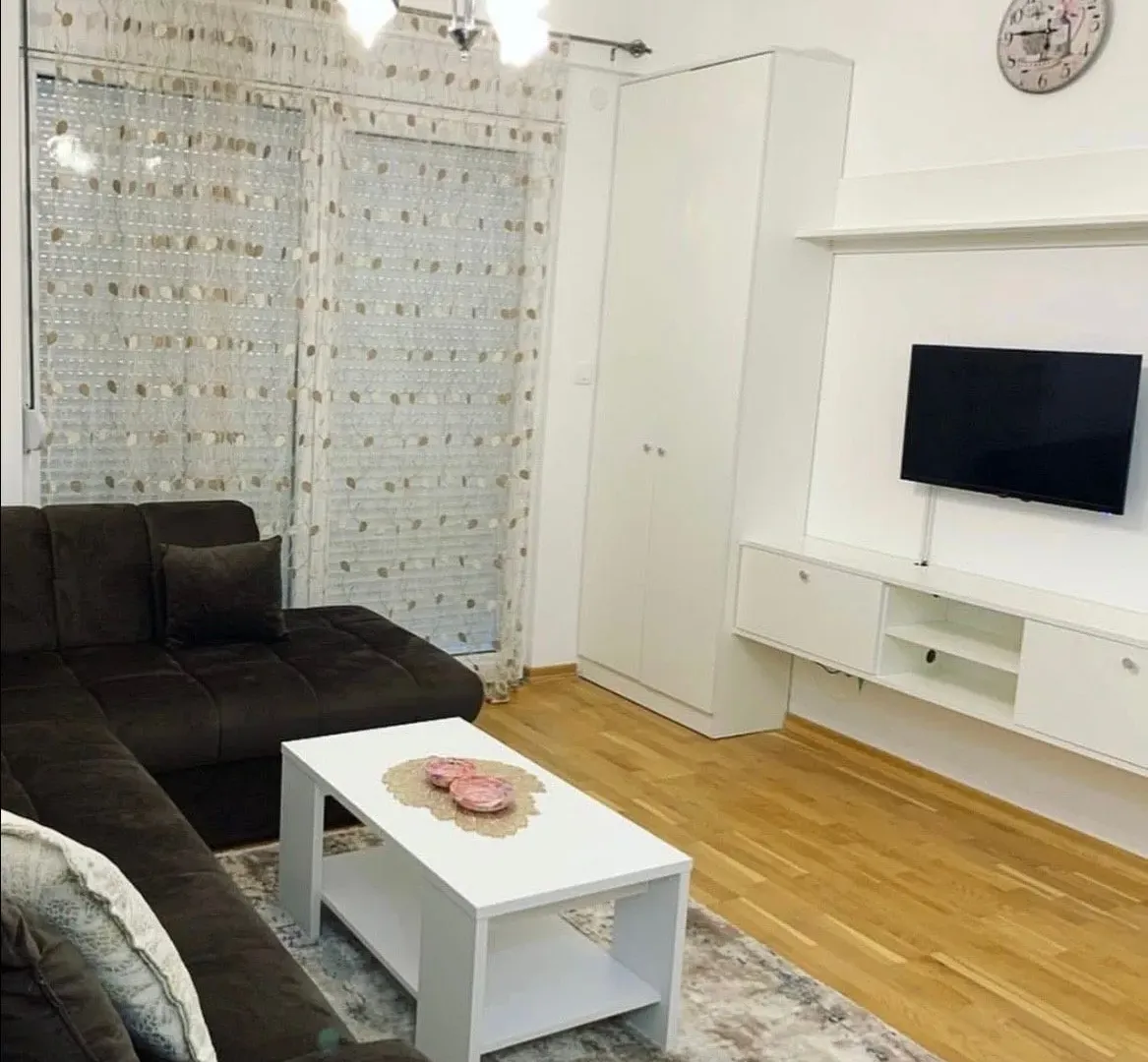 Daily-rent, apartment, 31m², Ljubović, Podgorica