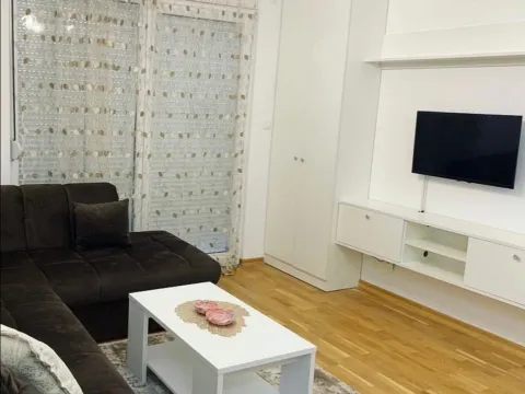 Daily-rent, apartment, 31m², Ljubović, Podgorica - image 1