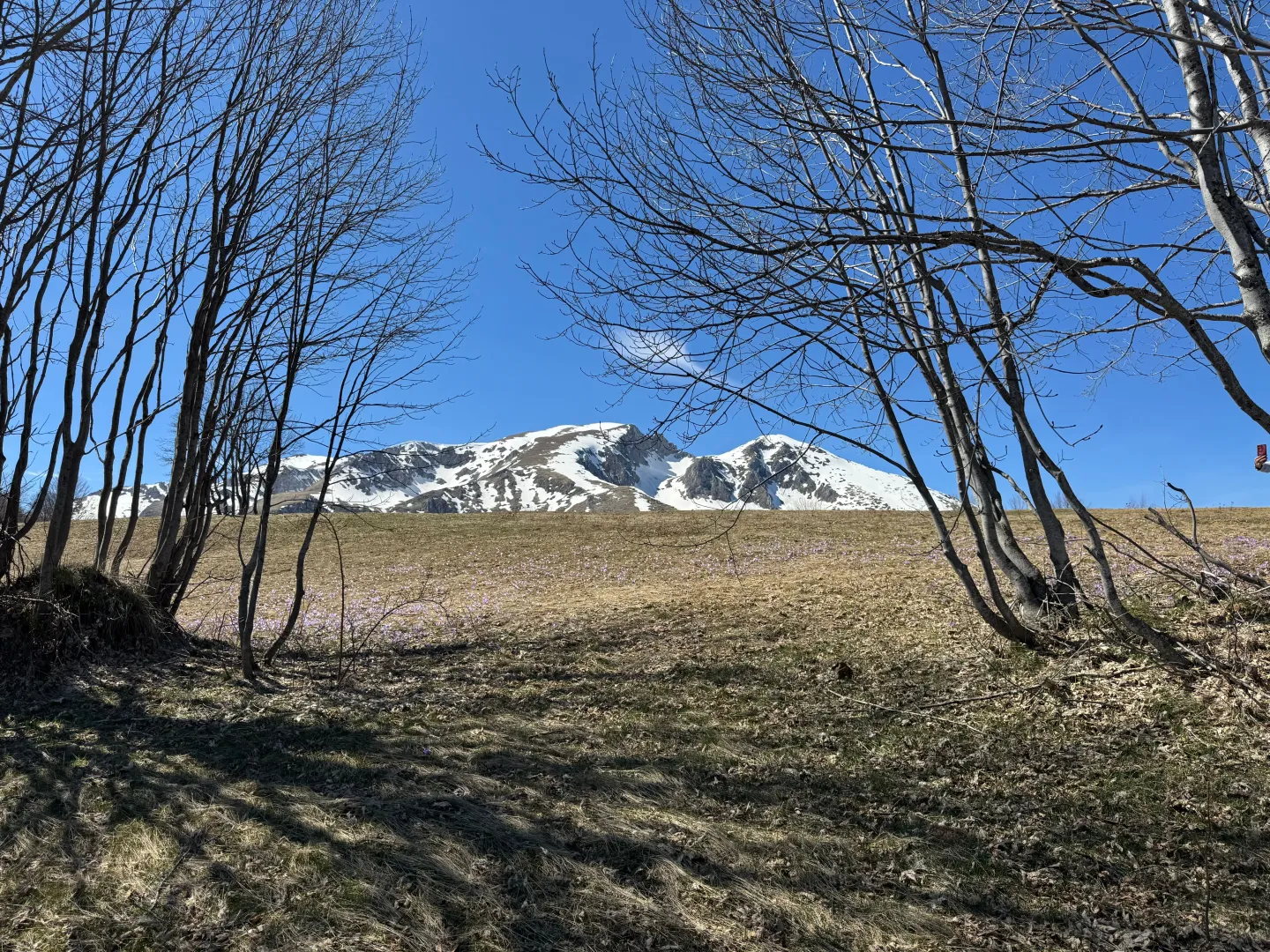 Prodaja, plac, 3766m², Pašina Voda, Žabljak