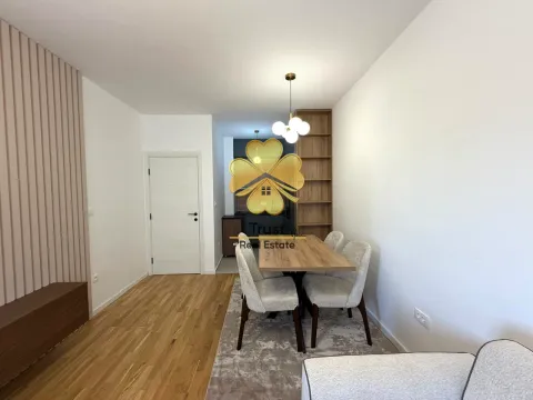 Izdavanje, jednosoban stan, 44m², Stari Aerodrom, Podgorica - image 6