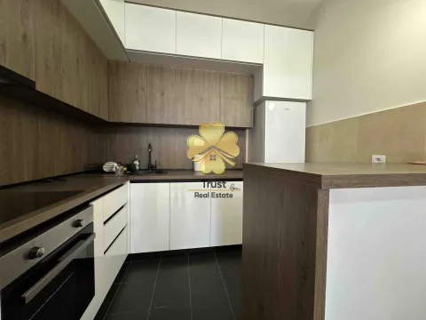 Izdavanje, jednosoban stan, 40m², Ljubović, Podgorica - image 4