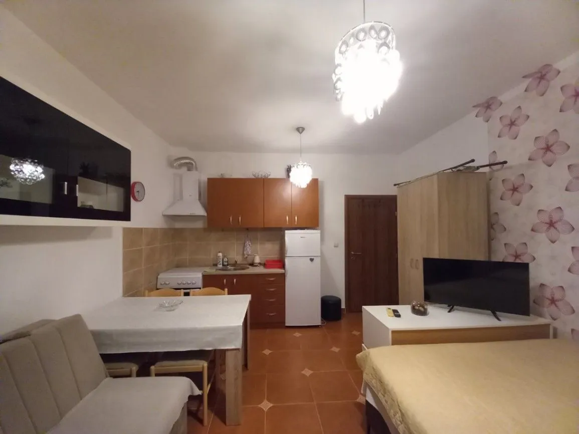 Daily-rent, studio apartment, 30m², Rozino, Budva