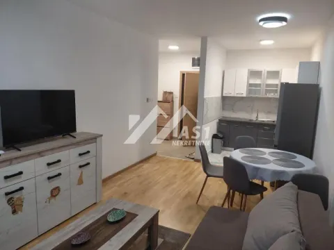 Izdavanje, jednosoban stan, 45m², Avijatičarsko naselje, Novi Sad Sve Podlokacije - image 3