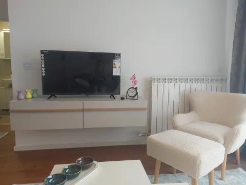 Rent, two bedroom apartment, 46m², Palilula Sve Podlokacije, Beograd - image 7
