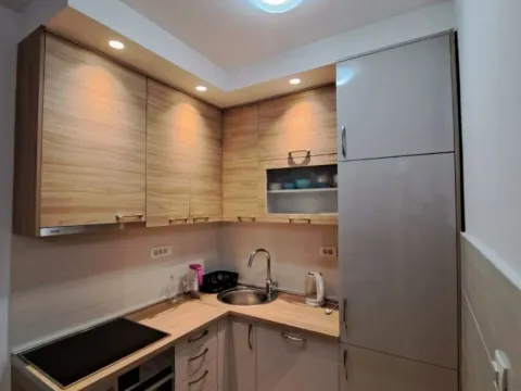 Rent, one bedroom apartment, 46m², Blok 6, Podgorica