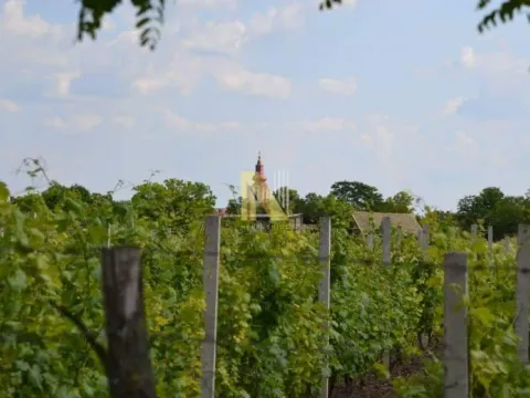 Sale, house, 230m², Srbobran, Novi Sad - image 12