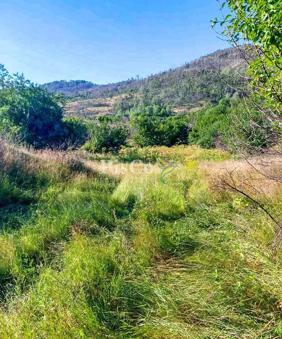 Prodaja, plac, 480000m², Nikšić, Crna Gora