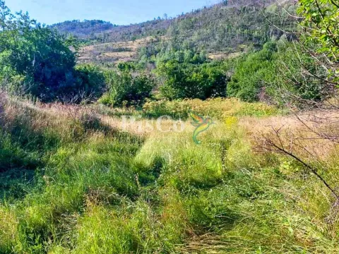 Prodaja, plac, 480000m², Nikšić, Crna Gora - image 7