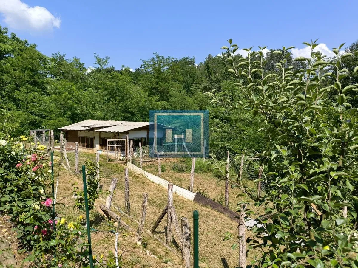 Sale, hospitality venue, 250m², Despotovac, Srbija