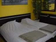 Izdavanje, kuća, 300m², Petrovaradin, Novi Sad - image 19