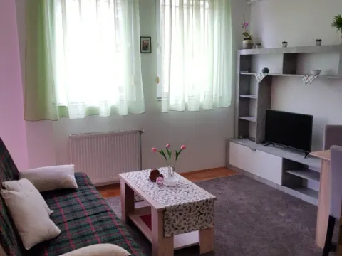 Izdavanje, jednosoban stan, 35m², Centar, Novi Sad - image 7