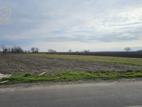 Prodaja, plac, 750m², Kisač, Novi Sad Sve Podlokacije - image 3