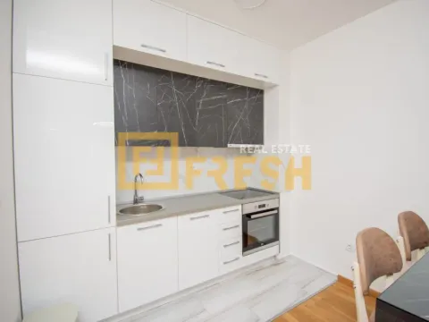 Izdavanje, jednosoban stan, 46m², Stari Aerodrom, Podgorica - image 8