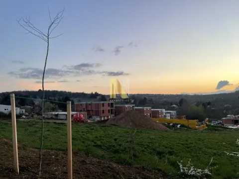 Prodaja, plac, 2400m², Petrovaradin, Novi Sad - image 2