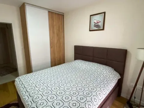 Izdavanje, jednosoban stan, 47m², Central Point, Podgorica - image 6
