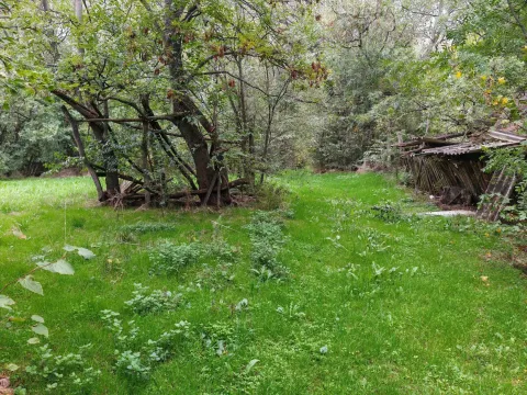 Prodaja, plac, 33900m², Velika Ivanča, Mladenovac - image 8